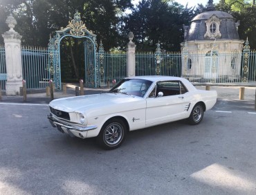 Ford Mustang 1965 5